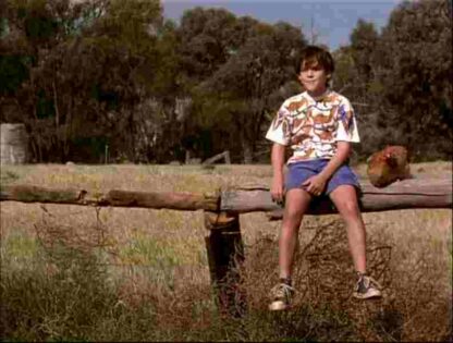 That Eye, the Sky (1994) Starring Peter Coyote on DVD - Image 2