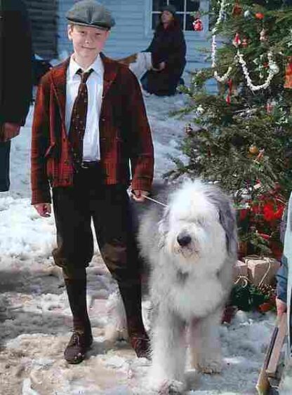 The 12 Dogs of Christmas (2004) Starring Jordan-Claire Green on DVD - Image 3