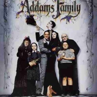 The Addams Family (1991) Starring Anjelica Huston on DVD