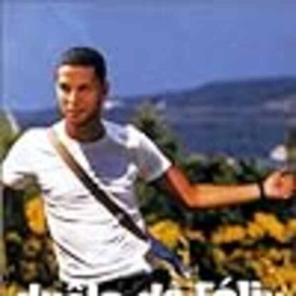 The Adventures of Felix (2000) with English Subtitles on DVD - Image 4