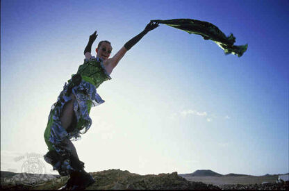 The Adventures of Priscilla, Queen of the Desert (1994) Starring Hugo Weaving on DVD - Image 2