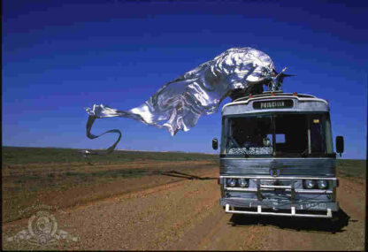 The Adventures of Priscilla, Queen of the Desert (1994) Starring Hugo Weaving on DVD - Image 4