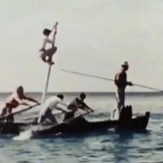 The Age of Swordfish (1955) with English Subtitles on DVD