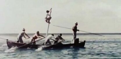 The Age of Swordfish (1955) with English Subtitles on DVD