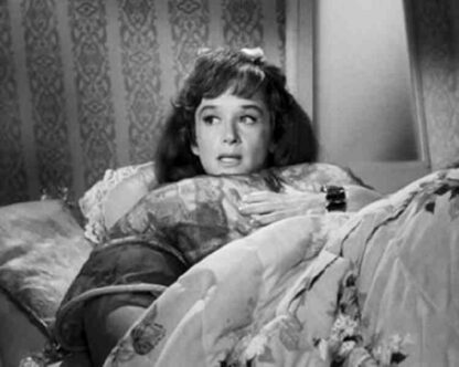 The Alfred Hitchcock Hour Consider Her Ways (1964) Starring Alfred Hitchcock on DVD