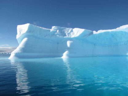The Antarctica Challenge (2009) Starring Mark Terry on DVD - Image 3