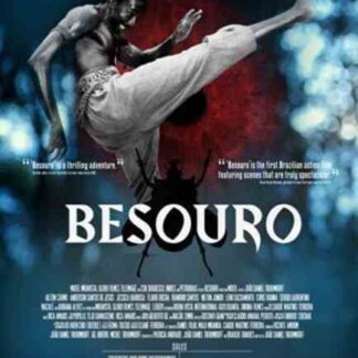 The Assailant (2009) with English Subtitles on DVD