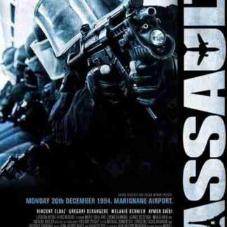 The Assault (2010) with English Subtitles on DVD