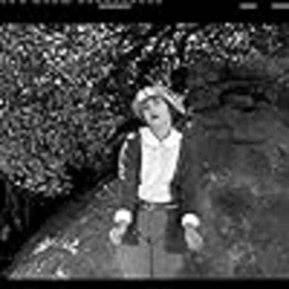 The Balloonatic (1923) with English Subtitles on DVD - Image 4
