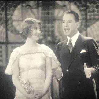 The Bee & the Fox (1929) Starring Harry Fox on DVD