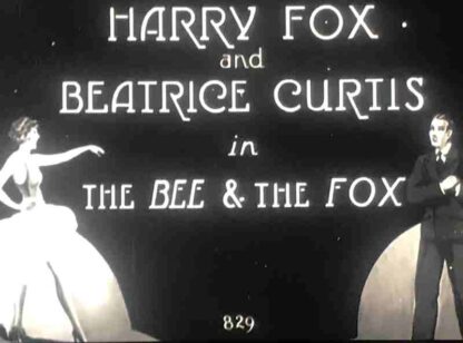 The Bee & the Fox (1929) Starring Harry Fox on DVD - Image 2