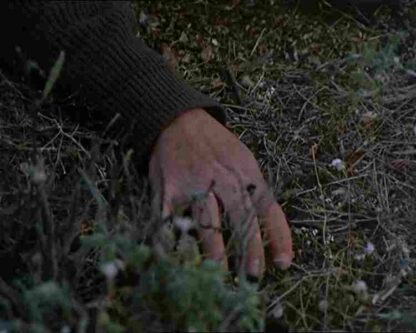 The Beekeeper (1986) with English Subtitles on DVD - Image 3