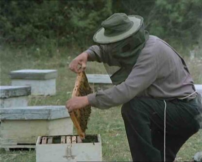 The Beekeeper (1986) with English Subtitles on DVD - Image 4