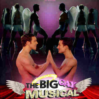 The Big Gay Musical (2009) Starring Lena Hall on DVD