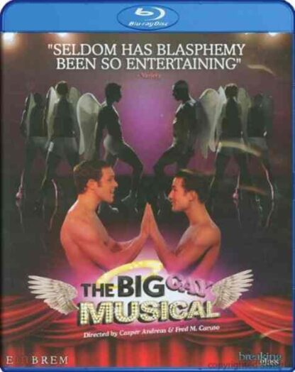 The Big Gay Musical (2009) Starring Lena Hall on DVD - Image 3