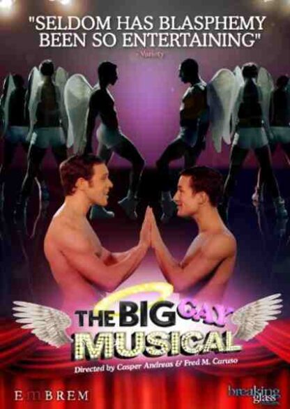 The Big Gay Musical (2009) Starring Lena Hall on DVD - Image 4
