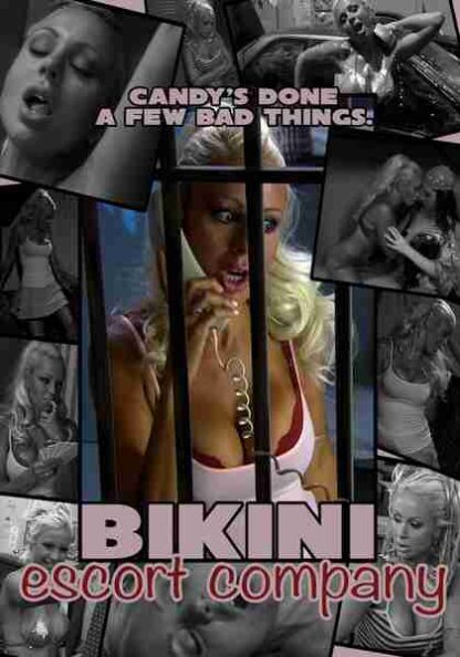 The Bikini Escort Company (2006) Starring Beverly Lynne on DVD