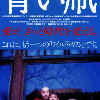 The Blue Kite (1993) with English Subtitles on DVD