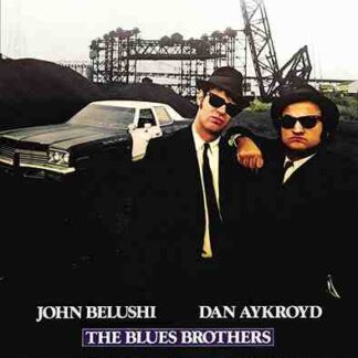 The Blues Brothers (1980) Starring Tom Erhart on DVD