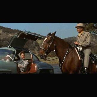 The Bottom of the Bottle (1956) Starring Van Johnson on DVD