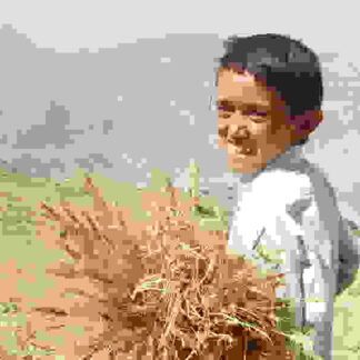 The Boy Mir (2011) with English Subtitles on DVD