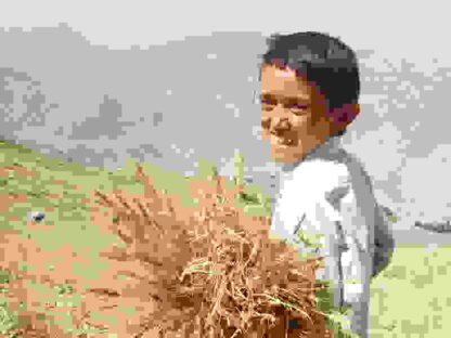 The Boy Mir (2011) with English Subtitles on DVD