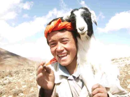 The Boy Mir (2011) with English Subtitles on DVD - Image 3