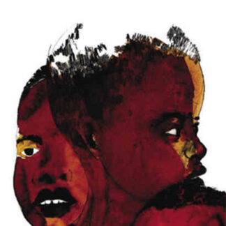 The Boys of Baraka (2005) Starring Devon Brown on DVD