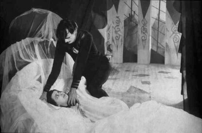 The Cabinet of Dr. Caligari (1920) with English Subtitles on DVD - Image 4