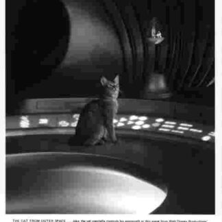 The Cat from Outer Space (1978) Starring Ken Berry on DVD