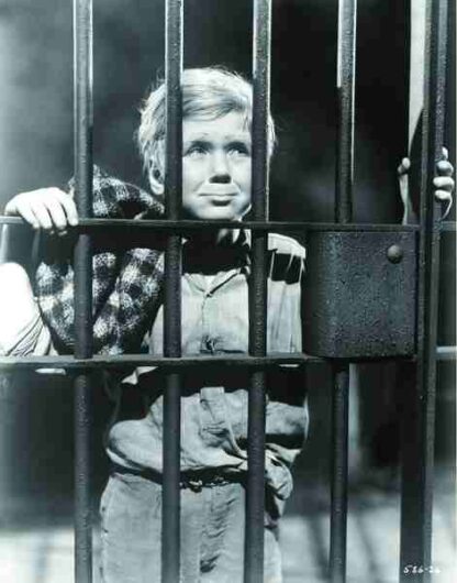 The Champ (1931) Starring Wallace Beery on DVD - Image 3