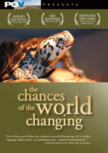 The Chances of the World Changing (2006) Starring on DVD