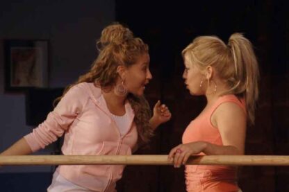 The Cheetah Girls 2 (2005) with English Subtitles on DVD - Image 4