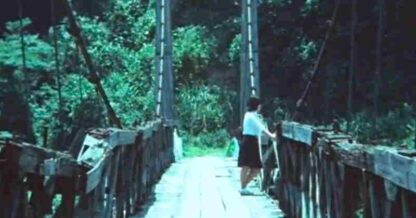 The Cherry Tree with Gray Blossoms (1977) with English Subtitles on DVD - Image 2