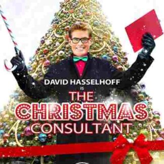 The Christmas Consultant (2012) Starring David Hasselhoff on DVD