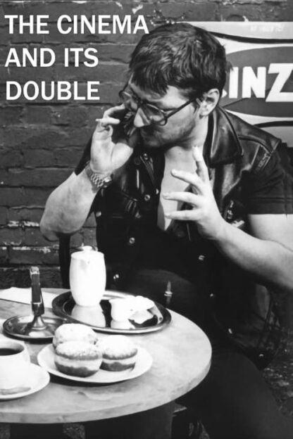 The Cinema and its Double: Rainer Werner Fassbinder's 'Despair' Revisited (2011) DVD