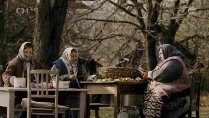 The Confidant (2012) with English Subtitles on DVD - Image 3