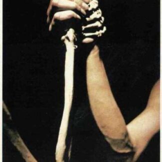The Constant Factor (1980) with English Subtitles on DVD