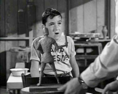 The Contest for Aaron Gold (1960) Starring Alfred Hitchcock on DVD