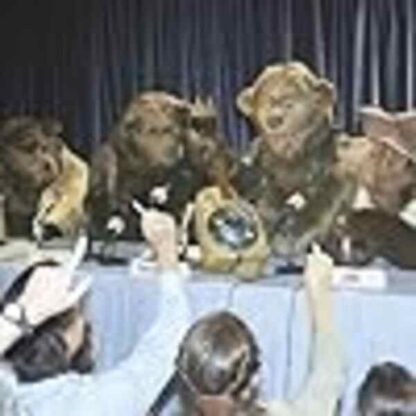 The Country Bears (2002) Starring Haley Joel Osment on DVD - Image 4