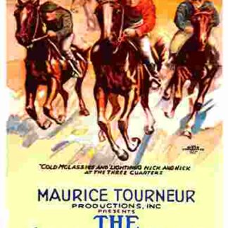 The County Fair (1920) Starring Helen Jerome Eddy on DVD