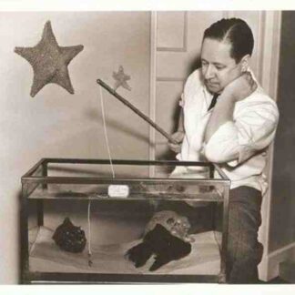 The Courtship of the Newt (1938) Starring Robert Benchley on DVD
