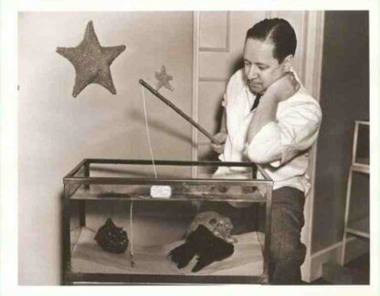 The Courtship of the Newt (1938) Starring Robert Benchley on DVD