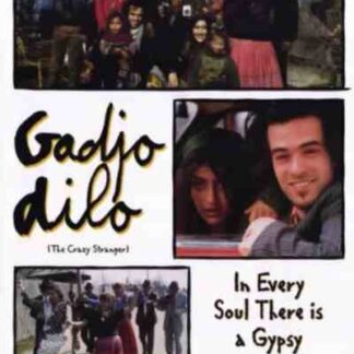 The Crazy Stranger (1997) with English Subtitles on DVD