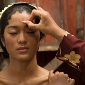 The Dancer (2011) with English Subtitles on DVD
