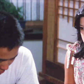 The Days of No Return (1978) with English Subtitles on DVD
