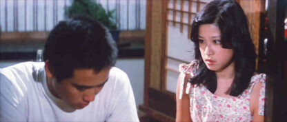 The Days of No Return (1978) with English Subtitles on DVD
