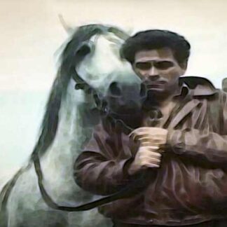 The Death of the Horse (1992) with English Subtitles on DVD