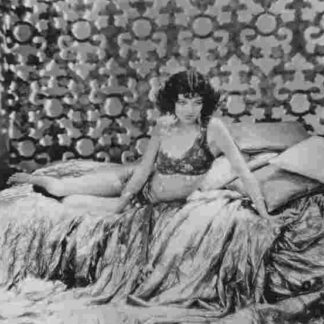 The Desert Song (1929) Starring John Boles on DVD