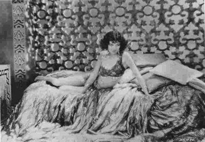 The Desert Song (1929) Starring John Boles on DVD